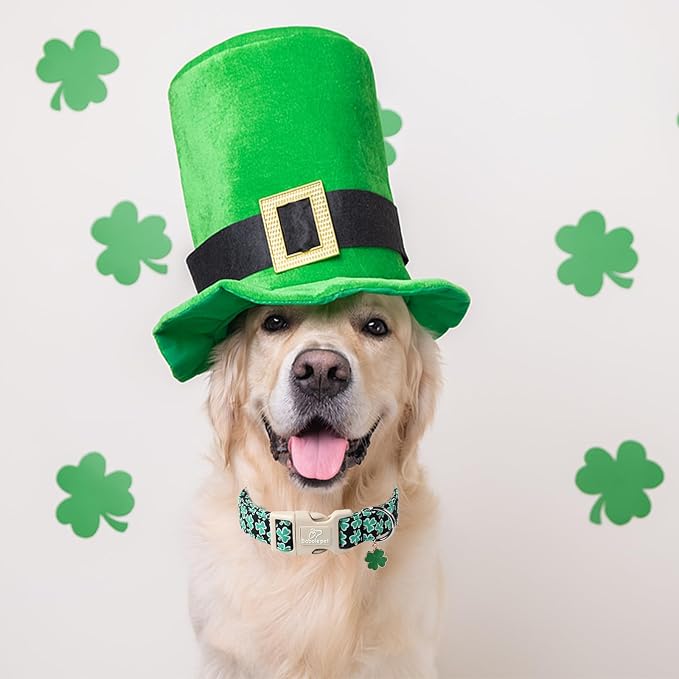 St Patricks Day Dog Collar for Large Dogs - Image 4