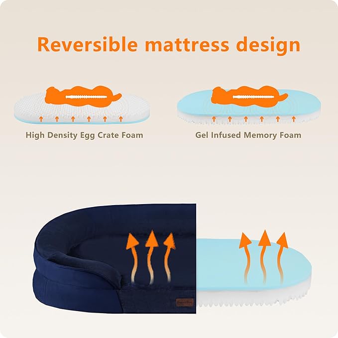 Dwanton Orthopedic Dog Bed for Medium Dogs - Image 3