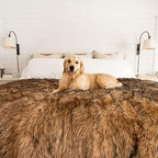 PupProtector Waterproof Throw Blanket - Image 4