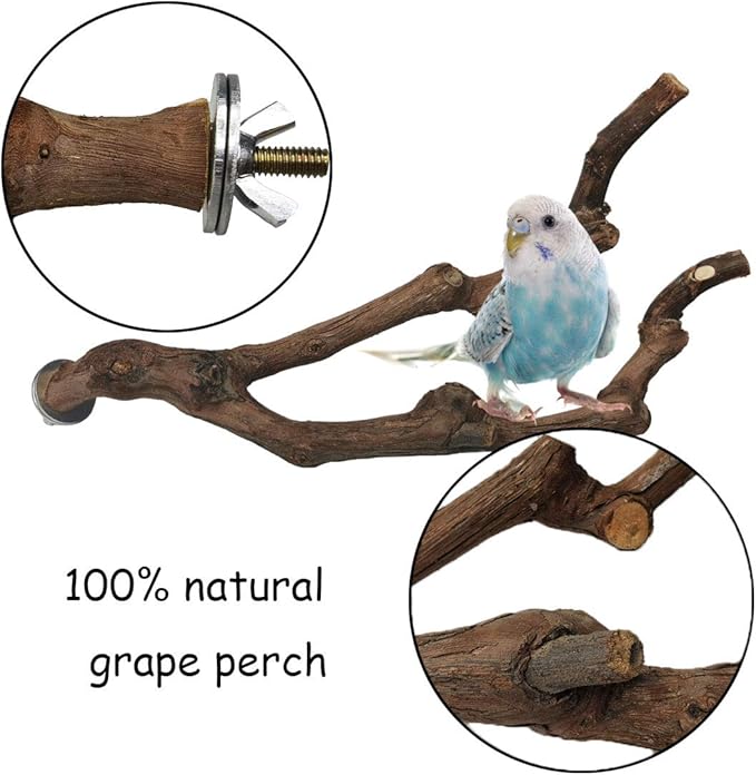 PINVNBY Natural Parrot Perch Bird Stand Pole Wild Grape Stick Paw Grinding Fork - Image 2