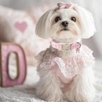 Girl Dog Collar for Giant Large Dogs - Image 7