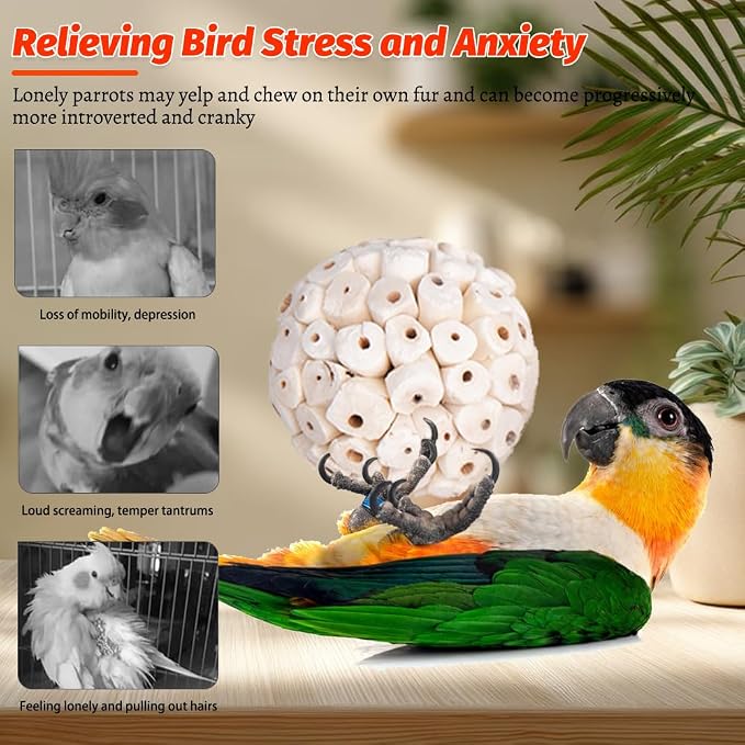 9 Pack Bird Toy Sola Balls, Natural Parrot Soft Chew Shredding & Foraging Toy - Image 4