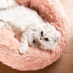 Cat Beds for Indoor Cats - Image 4
