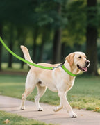 Joytale Reflective Dog Collar, Adjustable Nylon Pet Collar - Image 6