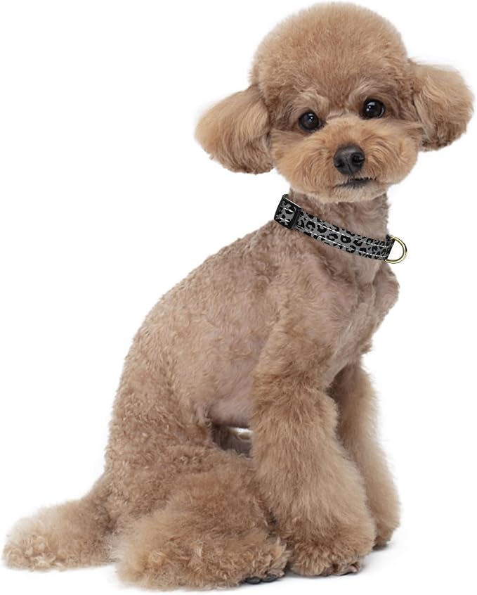 Reflective Dog Collar for Small Dogs Cats, Cute Leopard Style Adjustable - Image 2
