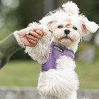 AIITLE Easy Walk Dog Harness and Leash Set - Image 8