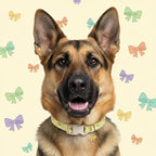 Cute Dog Collar with Yellow Bow Pattern, Girl Dog Collar - Image 8