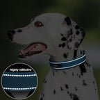 PetiFine Neoprene Padded Dog Collar, Heavy Duty Comfort Dog Collar - Image 4