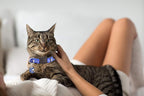 2Pcs Breakaway Cats Collars Cat Collars - Image 6