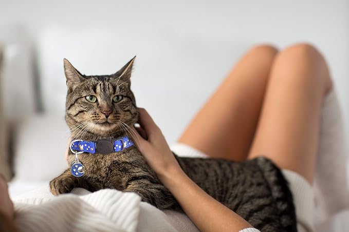 2Pcs Breakaway Cats Collars Cat Collars - Image 6