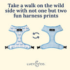 Lucy & Co. Cute Reversible Dog Harness Walking Halter - Image 3