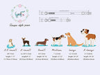 Unique style paws Dog Collar Metal Buckle Orange Collar Gift Durable Cute Collar - Image 6