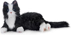JOY FOR ALL Companion Pet for Seniors by AgelessInnovation