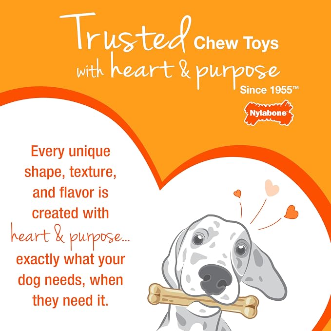 Nylabone Freezer Bone Puppy Chew Toy, Soothing Teething Toys - Image 12