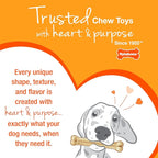 Nylabone Textured Bone Power Chew Toy - Image 11