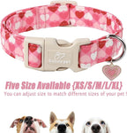 Valentines Dog Collar for Small Dogs - Image 6