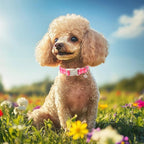 Girl Dog Collar for Large Dogs - Image 2