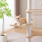SHENGOCASE Modern Natural Wooden Wood Cat Tree Tower Condo, Extra Large Top - Image 4