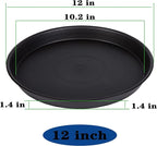 2 Pack of Bird Bath Bowl 12", 1.6" Depth, 10 12 inch Birdbath Bowls Dish Only - Image 2
