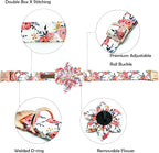 Lionheart glory Dog Collar Flowers Collar Floral Dog Collar - Image 2
