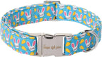 Unique style paws Dog Collar Metal Buckle Collar by Uniquestylepaws