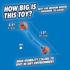 Chuckit! Ultra Duo Tug Dog Toy - Image 3