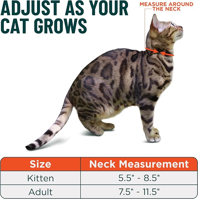 OutdoorBengal Black Cat Collar Breakaway, Soft Padding - Image 5