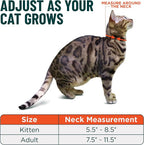 OutdoorBengal Red Breakaway Kitten Collar - Image 5
