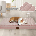 WNPETHOME Orthopedic XL Dog Beds Large Sized Dog, Waterproof Extra Large Dogs - Image 2