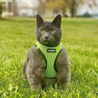 Best Pet Supplies Voyager Step-in Air Harness - Image 8