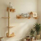 Cat Shelves for Wall – Cat Climbing Furniture Set for Large Cats by CreatingaBetterLife