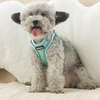 AIITLE Small Harness for Puppy - Image 9