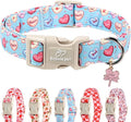 Valentines Dog Collar for Medium Dogs by Babolepet