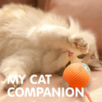 Rocfish Durable Interactive Cat Toys - Image 7