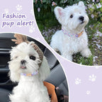 Elegant Butterfly Dog Collar, Adjustable Comfortable - Image 3