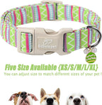 Easter Dog Collar for Small Dogs - Image 6