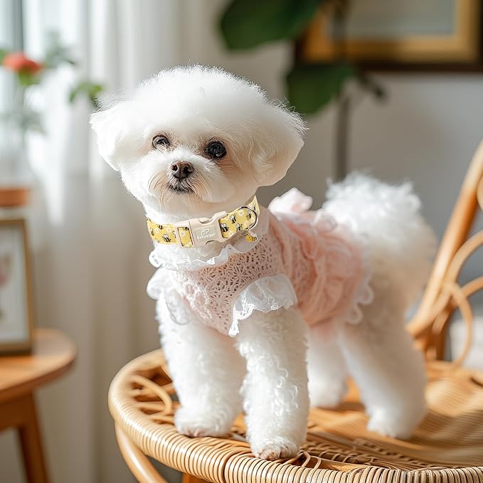 Bee & Daisy Dog Collar for Puppy Small Dogs - Image 5