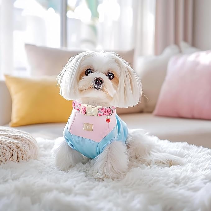 Strawberry Bow Dog Collar for Puppy Small Dogs - Image 5