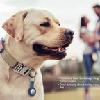 DAGANXI Tactical Dog Collar, Adjustable Military Training Nylon Dog Collar - Image 2