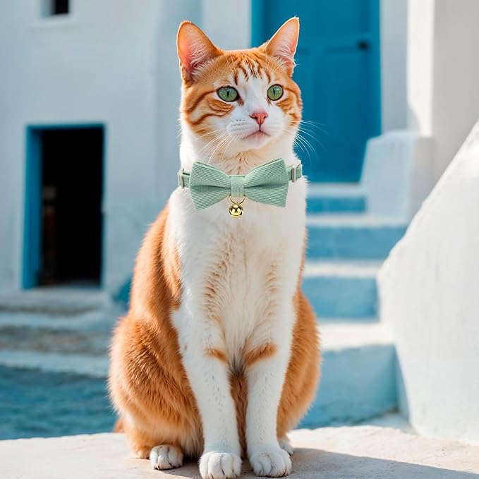 Cotton Breakaway Kitten Collar - Image 5