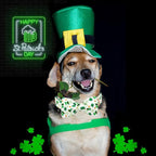 Lionheart glory Dog Bow Collar St. Patrick's Day Dog Collar - Image 5