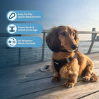 Best Pet Supplies - Image 3