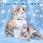 EXPAWLORER Cat Collar Leather - Image 6