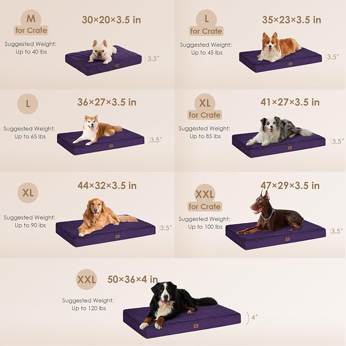 EHEYCIGA Orthopedic Medium Dog Beds - Image 2
