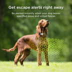 Petcube GPS Tracker for Dogs | Pet GPS Location Tracker - Image 3