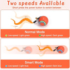 BABORUI 2Pack Interactive Cat Toy Ball - Image 4