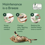Purina Tidy Cats Breeze Litter System Cat Refill Bundle - Image 5