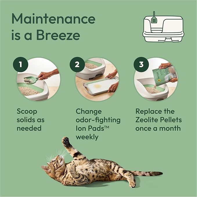 Purina Tidy Cats Litter Pellets, Breeze Refill Litter Pellets in Recyclable Box - Image 7