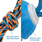 Zealburst Interactive Dog Toy Ball, 2026 Upgraded Motion Activated Rolling Ball - Image 4