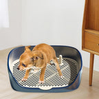 Dog Tray with Wall for Cats and Dogs, Elevated Pet Feeding Station, - Image 6